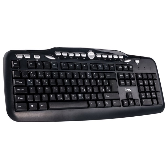 MS tastatura ALPHA C300